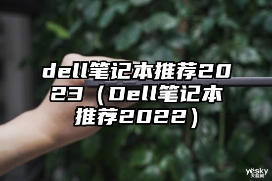 dell笔记本推荐2023（Dell笔记本推荐2022）