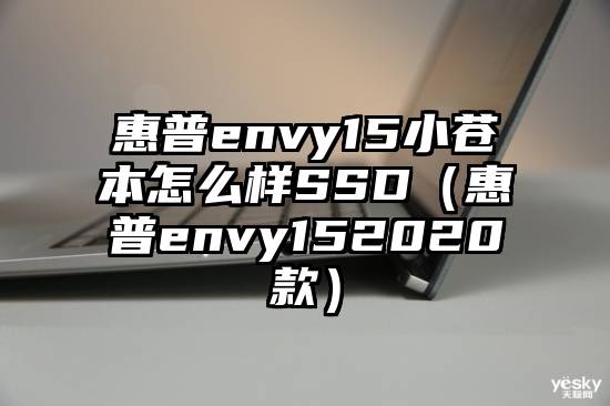惠普envy15小苍本怎么样SSD（惠普envy152020款）