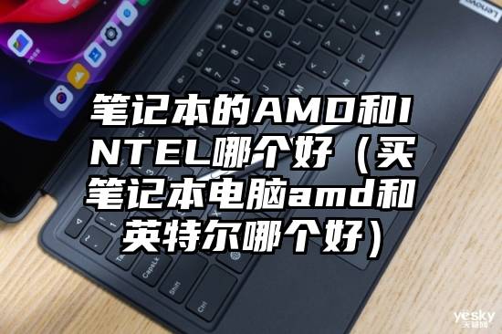 笔记本的AMD和INTEL哪个好（买笔记本电脑amd和英特尔哪个好）