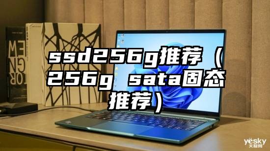 ssd256g推荐（256g sata固态推荐）