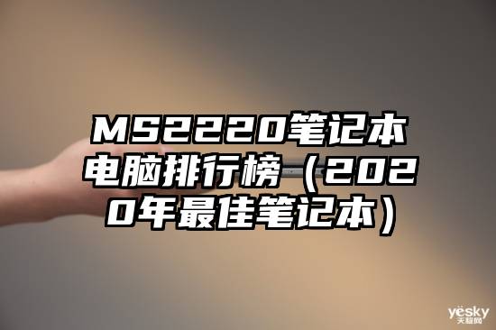 MS2220笔记本电脑排行榜（2020年最佳笔记本）