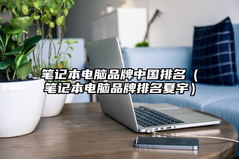 笔记本电脑品牌中国排名（笔记本电脑品牌排名夏宇）