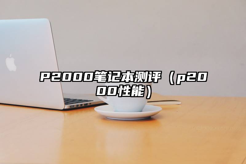 P2000笔记本测评（p2000性能）