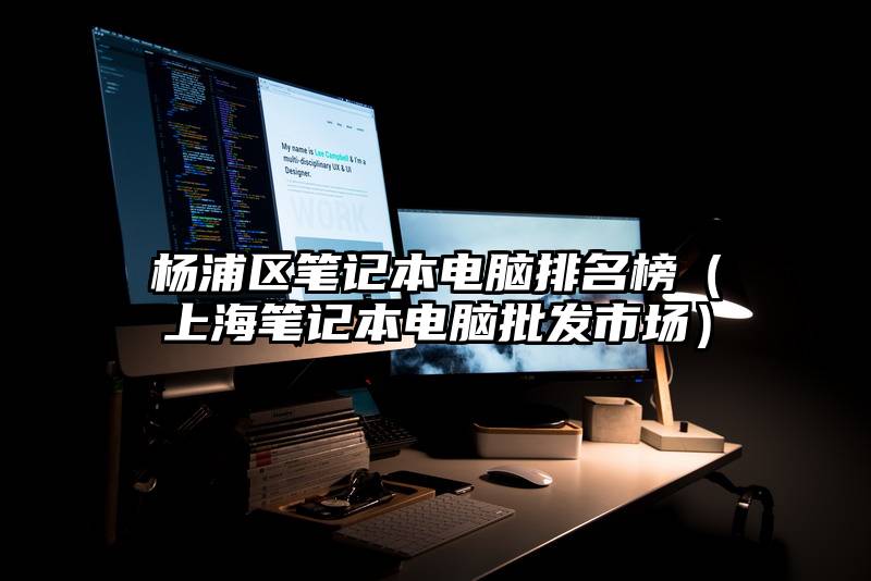 杨浦区笔记本电脑排名榜（上海笔记本电脑批发市场）