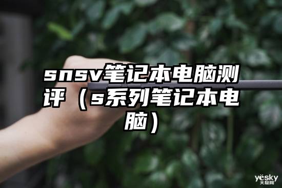 snsv笔记本电脑测评（s系列笔记本电脑）