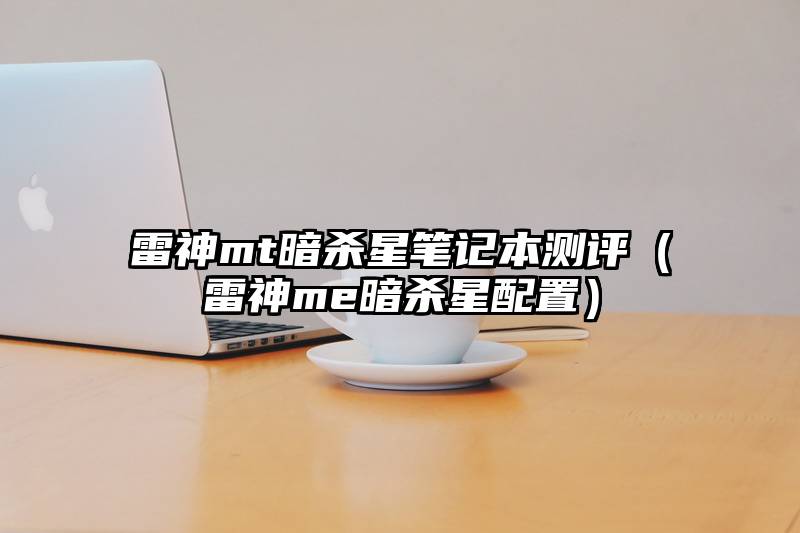 雷神mt暗杀星笔记本测评（雷神me暗杀星配置）