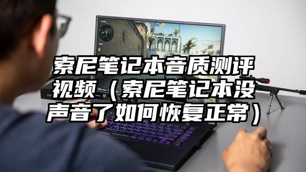 索尼笔记本音质测评视频（索尼笔记本没声音了如何恢复正常）