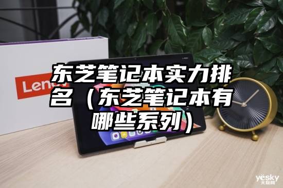 东芝笔记本实力排名（东芝笔记本有哪些系列）