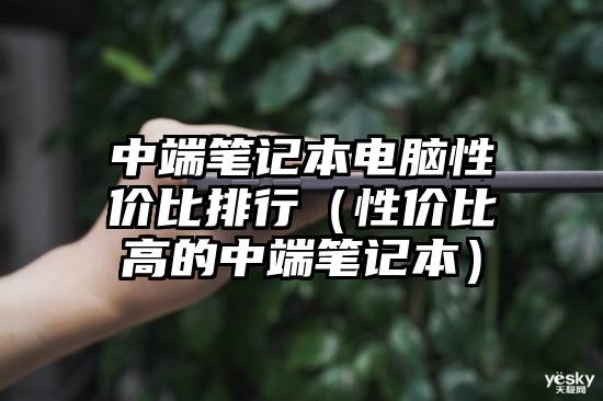 中端笔记本电脑性价比排行（性价比高的中端笔记本）