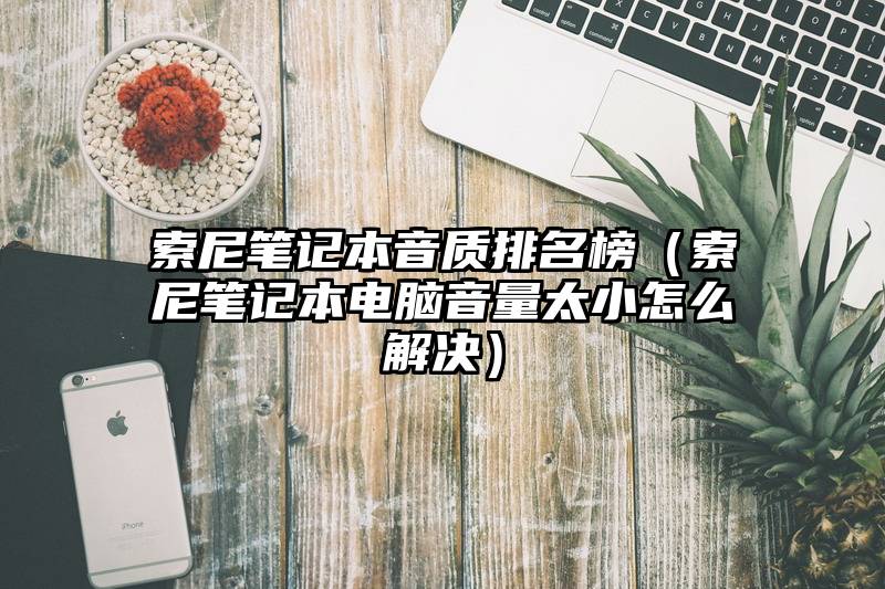 索尼笔记本音质排名榜（索尼笔记本电脑音量太小怎么解决）