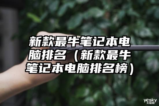 新款最牛笔记本电脑排名（新款最牛笔记本电脑排名榜）
