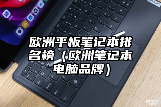欧洲平板笔记本排名榜（欧洲笔记本电脑品牌）
