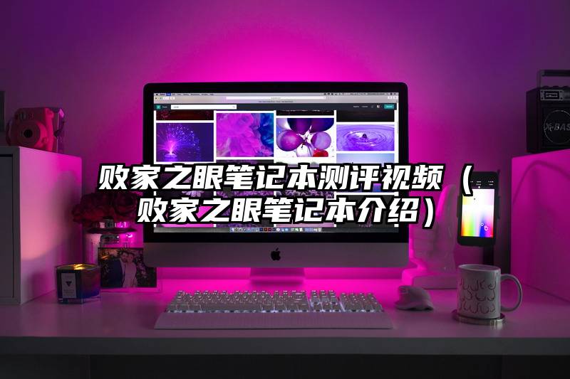 败家之眼笔记本测评视频（败家之眼笔记本介绍）