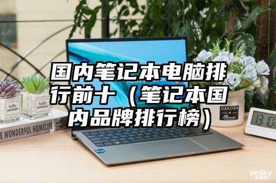 国内笔记本电脑排行前十（笔记本国内品牌排行榜）