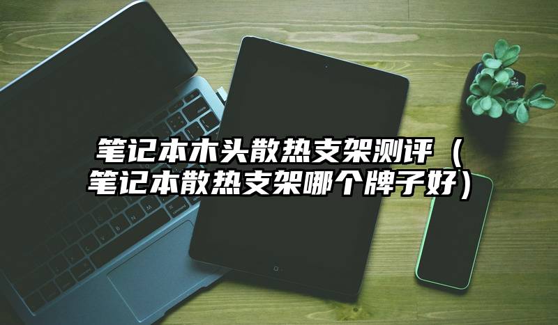 笔记本木头散热支架测评（笔记本散热支架哪个牌子好）