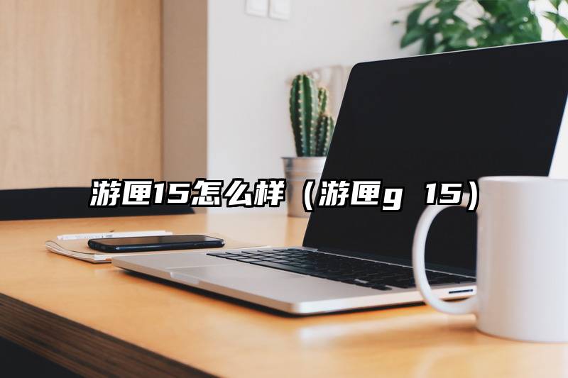 游匣15怎么样（游匣g 15）