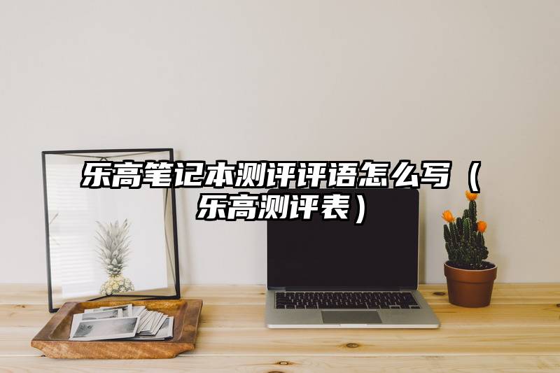 乐高笔记本测评评语怎么写（乐高测评表）