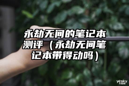 永劫无间的笔记本测评（永劫无间笔记本带得动吗）