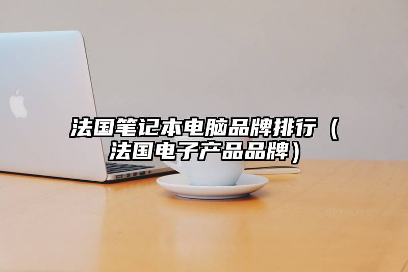 法国笔记本电脑品牌排行（法国电子产品品牌）