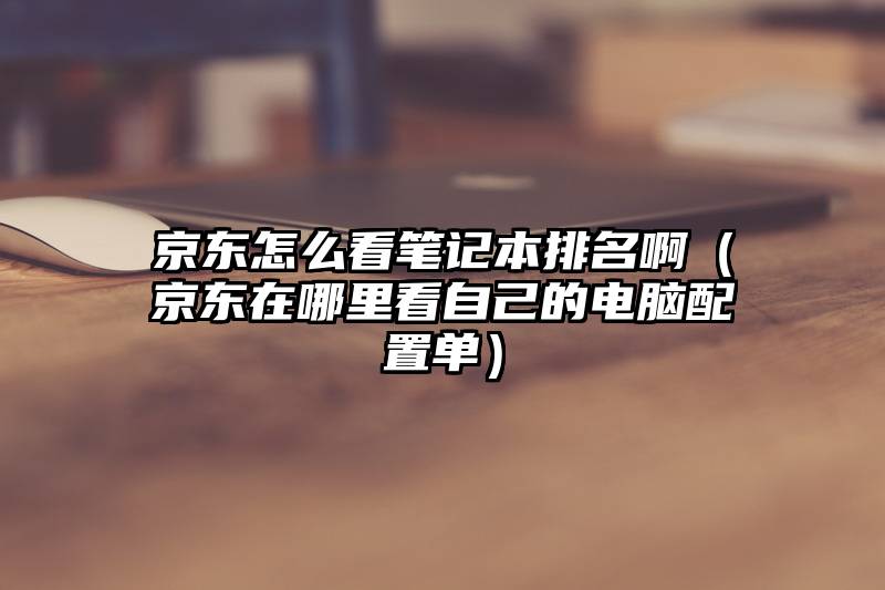 京东怎么看笔记本排名啊（京东在哪里看自己的电脑配置单）