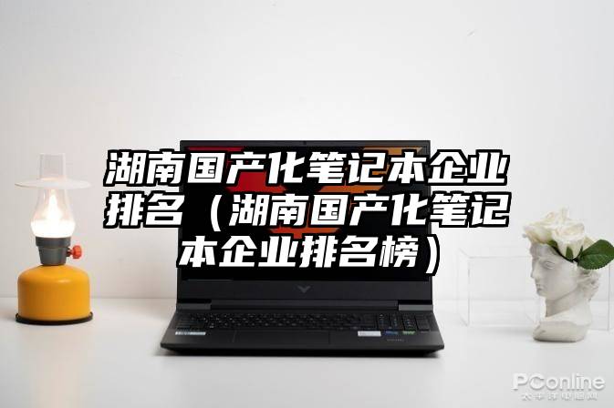 湖南国产化笔记本企业排名（湖南国产化笔记本企业排名榜）
