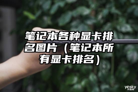 笔记本各种显卡排名图片（笔记本所有显卡排名）