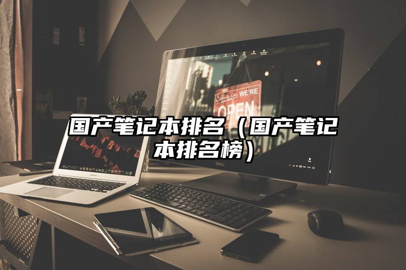 国产笔记本排名（国产笔记本排名榜）