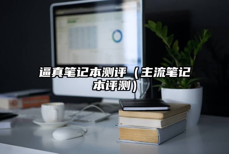 逼真笔记本测评（主流笔记本评测）