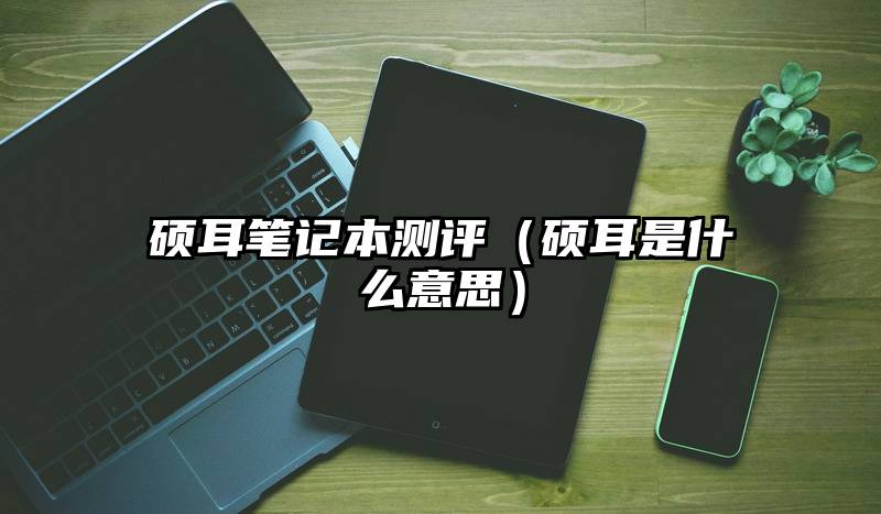 硕耳笔记本测评（硕耳是什么意思）