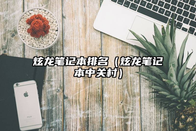 炫龙笔记本排名（炫龙笔记本中关村）
