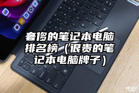 奢侈的笔记本电脑排名榜（很贵的笔记本电脑牌子）