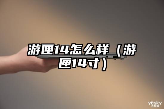 游匣14怎么样（游匣14寸）