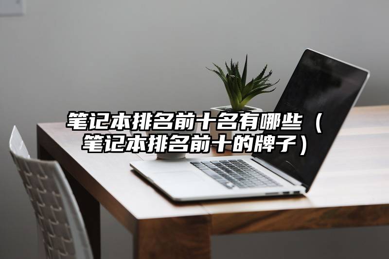笔记本排名前十名有哪些（笔记本排名前十的牌子）