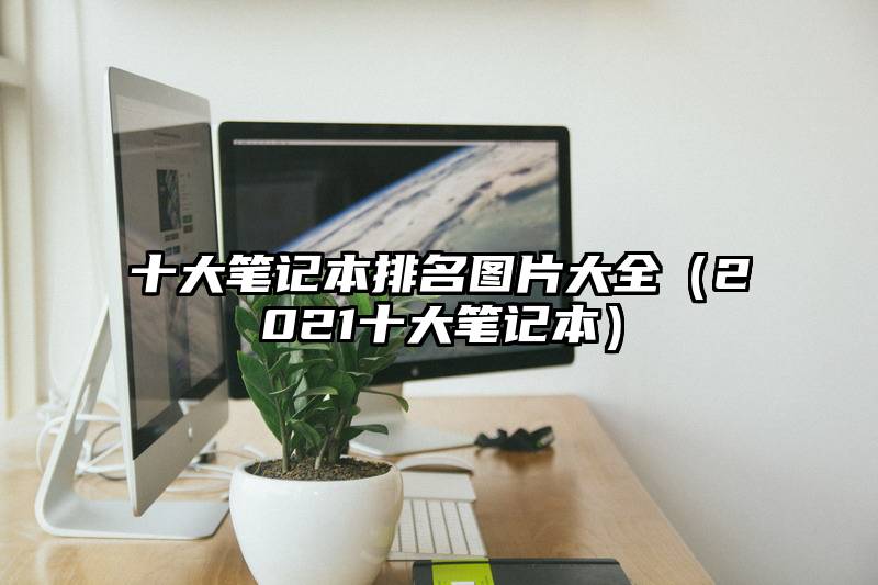 十大笔记本排名图片大全（2021十大笔记本）