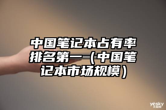 中国笔记本占有率排名第一（中国笔记本市场规模）
