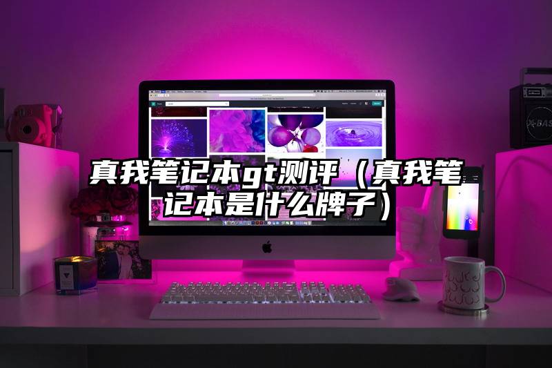 真我笔记本gt测评（真我笔记本是什么牌子）