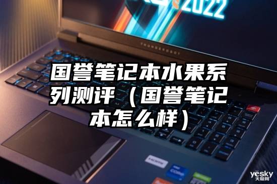 国誉笔记本水果系列测评（国誉笔记本怎么样）