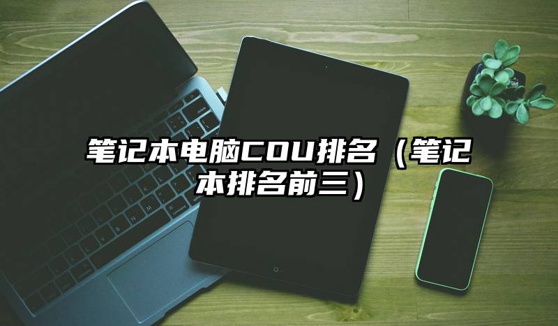 笔记本电脑COU排名（笔记本排名前三）