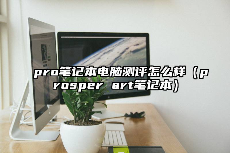 pro笔记本电脑测评怎么样（prosper art笔记本）
