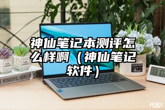 神仙笔记本测评怎么样啊（神仙笔记软件）