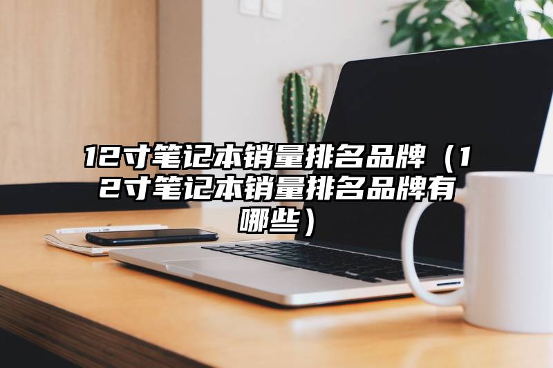 12寸笔记本销量排名品牌（12寸笔记本销量排名品牌有哪些）