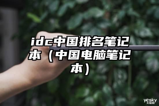 idc中国排名笔记本（中国电脑笔记本）