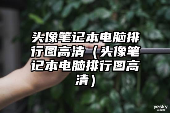 头像笔记本电脑排行图高清（头像笔记本电脑排行图高清）