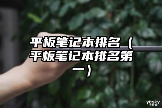 平板笔记本排名（平板笔记本排名第一）