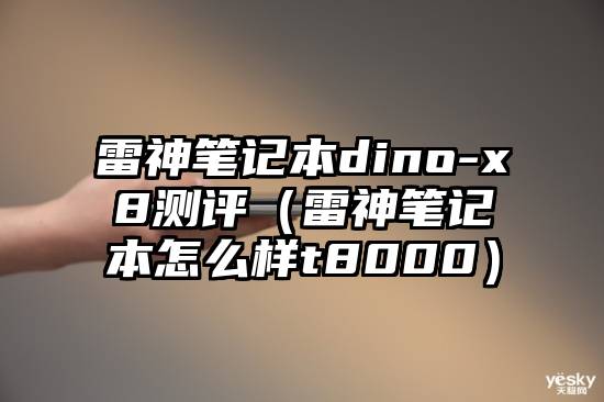 雷神笔记本dino-x8测评（雷神笔记本怎么样t8000）