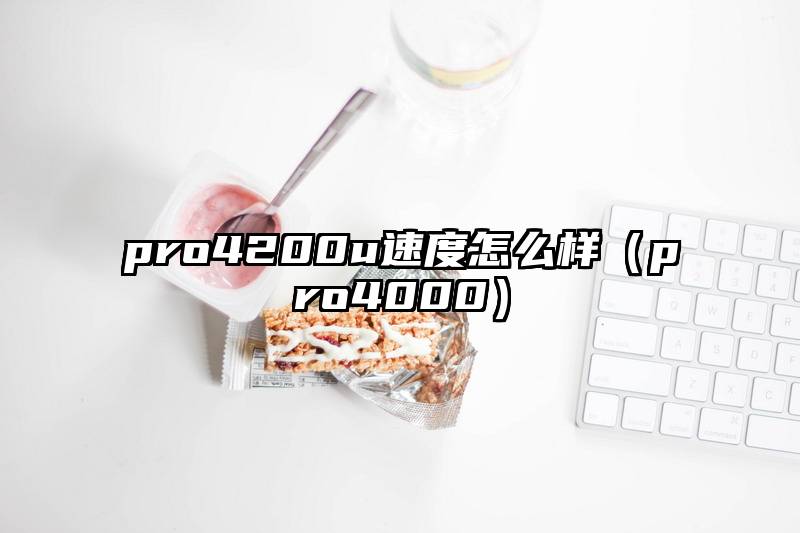 pro4200u速度怎么样（pro4000）