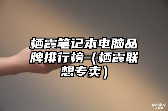 栖霞笔记本电脑品牌排行榜（栖霞联想专卖）