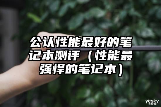 公认性能最好的笔记本测评（性能最强悍的笔记本）
