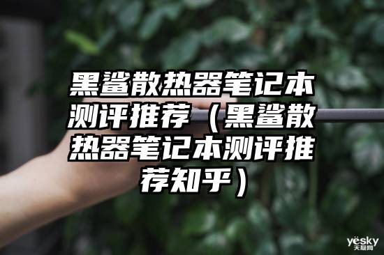 黑鲨散热器笔记本测评推荐（黑鲨散热器笔记本测评推荐知乎）