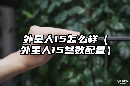 外星人15怎么样（外星人15参数配置）